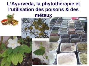 formations ayurvédiques Cours bases de l'Ayurveda la phytothérapie