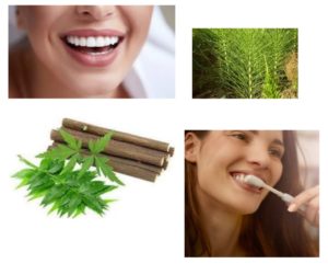 dents-brossage-équilibre-ayurveda-neem-prêle