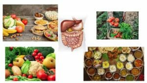 digestion optimale niveau central niveau cellulaire heartofayurveda paris