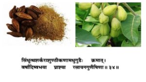 Haritaki-Ayurveda-terminalia-chebula