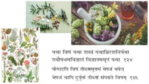 Ayurveda-plantes-médicinales-ayurvédiques