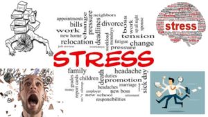 Stress-ayurveda agni bala heartofayurveda paris