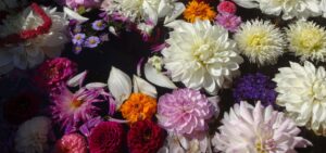 #ayurveda #soins ayurvédiques thérapie par les fleurs ayurveda paris