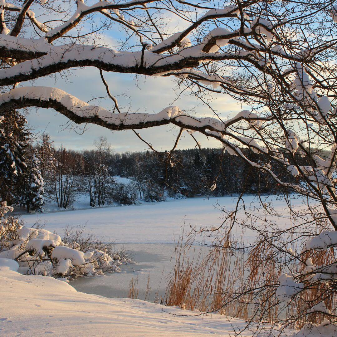 hiver ayurveda saison