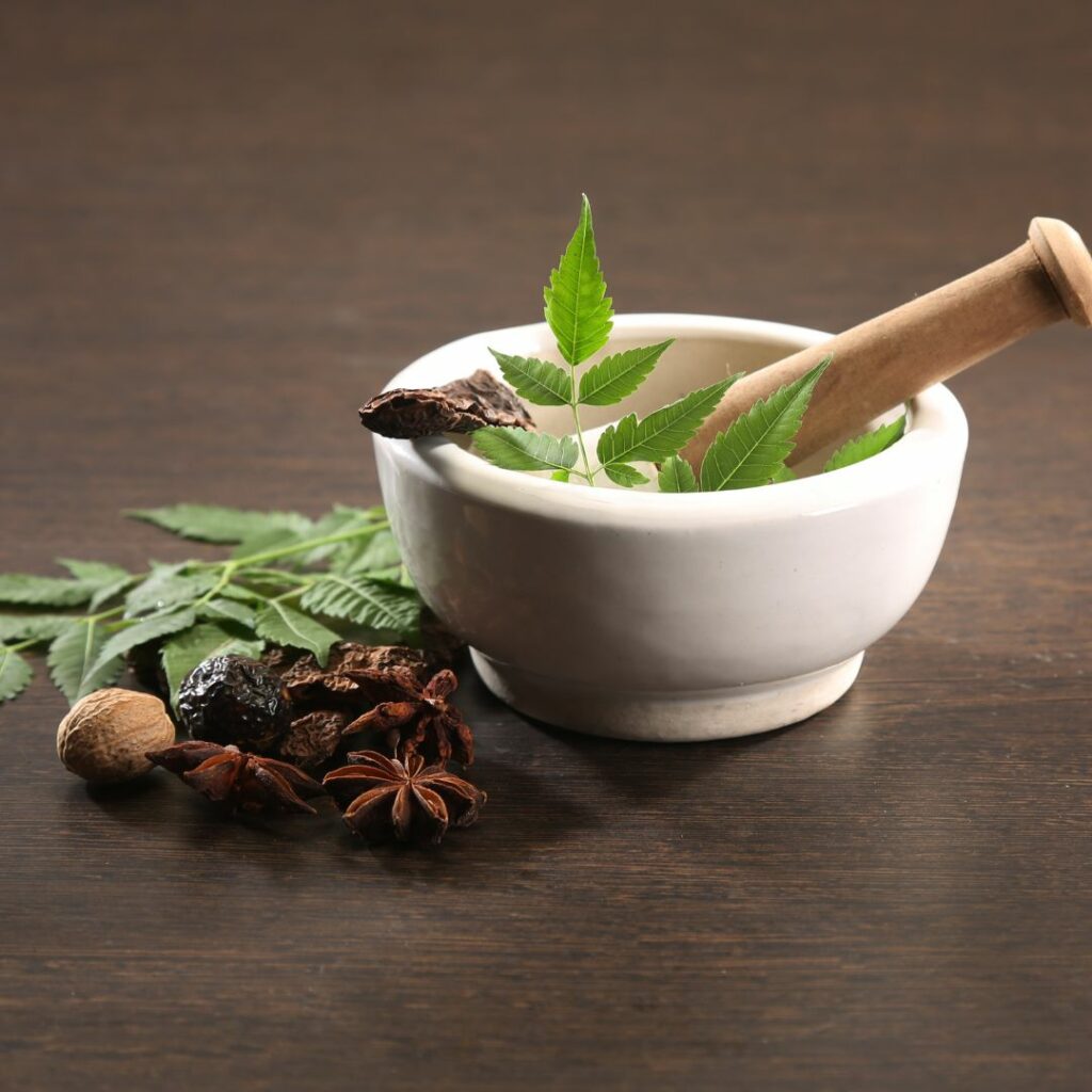 initiation ayurveda paris ateliers initiation ayurveda paris